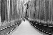 Blurred procession : Kyoto, Japan