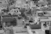 Rooftops : Jodhpur