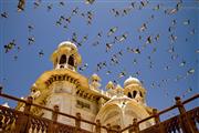 Flyby : Jodhpur