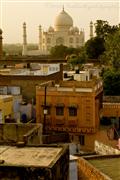 Hidden in the Roofs : Agra