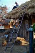 Thatching : Hahoe village