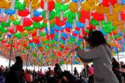 Passionate prayer : Gatbawi, Daegu