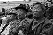 Day out at the bullfighting : Cheongdo