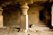 Cave doze : Ellora caves, India