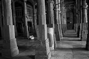 Mosque doze B&W : Ahmedebad, India