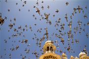 Fly-by : Jodhpur, India