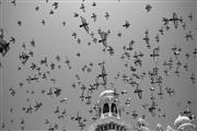 Fly-by B&W : Jodhpur, India