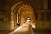 Ponderous guard : Delhi, India