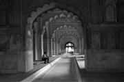 Ponderous guard B&W : Delhi, India