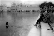 Tethered swim B&W : Amritsar, India