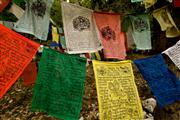 Mountain banners : Mcleoud ganj, India