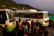 Amongst the buses : Shimla, India