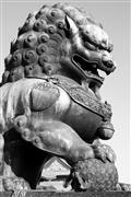 Guardian statue : Forbidden city, Beijing