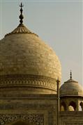 Taj dome : Agra, India