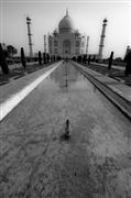 Distorted Taj B&W : Agra, India