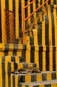 Asleep on the steps : Varanasi, India