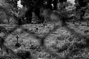 Hillside graves : Kurseong, India