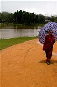 Monk's umbrella : Mirik, India