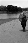 Monk's Umbrella B&W : Mirik, India