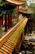 Mossy wall : Kunming, China