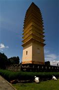 Gardening the Pagoda : Dali, China