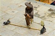 Man and his cormorants : Yangshou, China