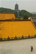 Distant pagoda : Hangzhou, China