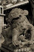 Ferocious sepia : Xiamen, China