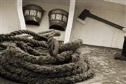 Gnarled rope sepia : Xiamen, China